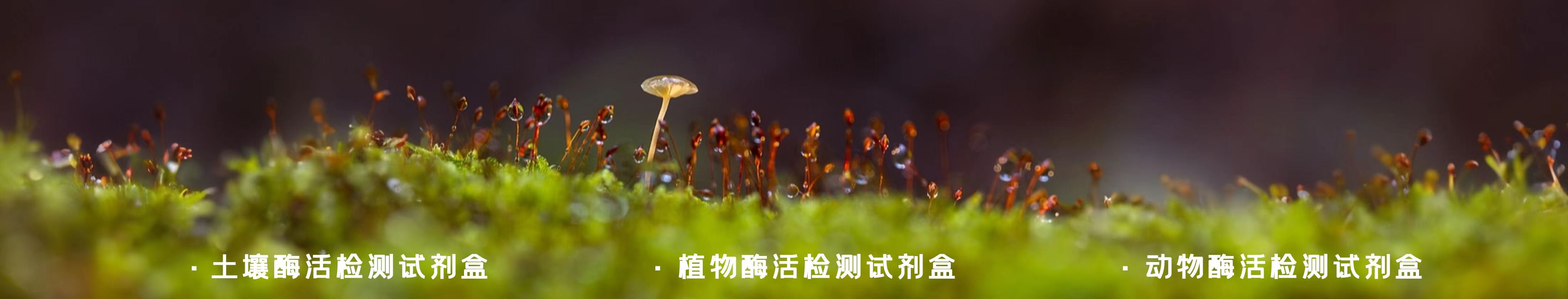水体指标检测