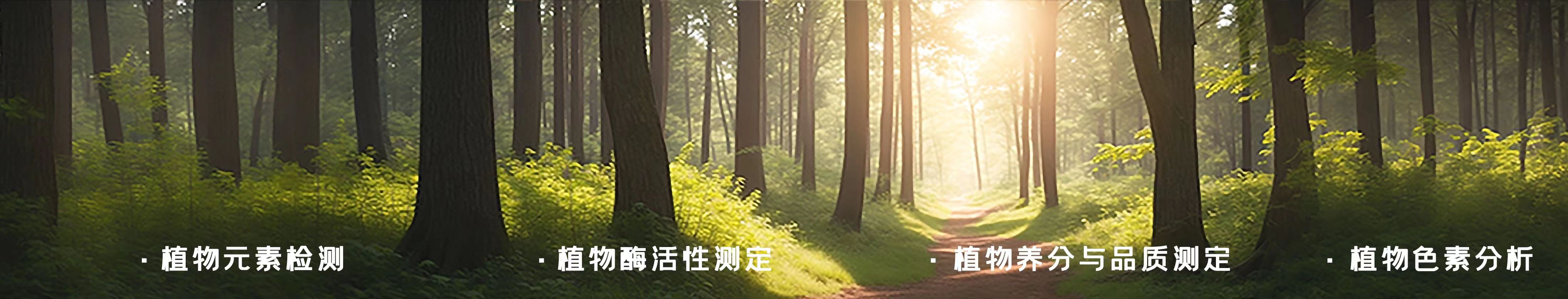 植物检测服务